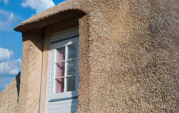 Kew thatch roof disadvantages